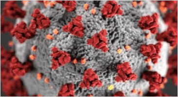 Cover image of the article Coming Together During COVID-19: Concerns and Connections.